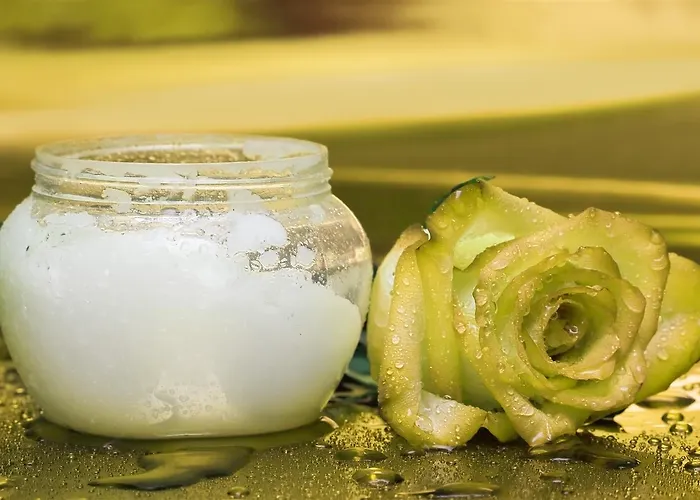 酒店 杜塞尔多夫莱昂纳多精品酒店 杜塞尔多夫